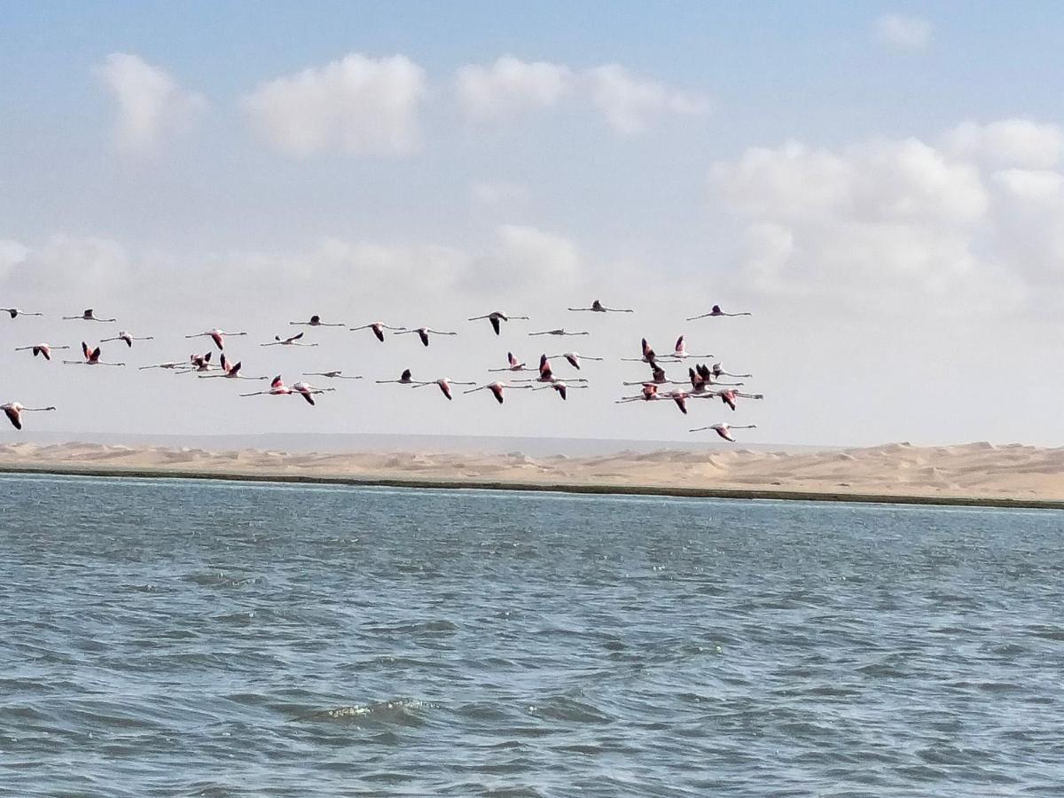 Hotel El Ghazi Tarfaya Luaran gambar